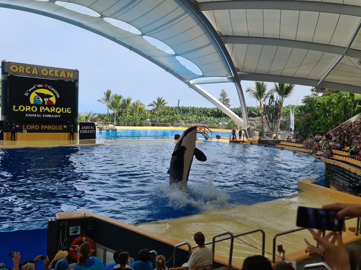 Апартаменты Parque Albatros 118 Сан Мигель Экстерьер фото